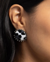 Load image into Gallery viewer, Cowhide Couture - Black Post Earrings - Paparazzi
